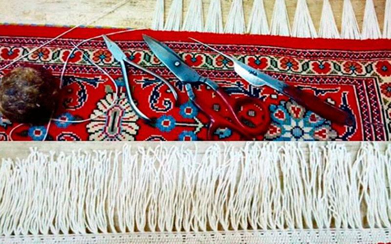 بهترین ریشه زنی در فردیس